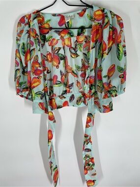 Joie Light Blue Crop Blouse with Orange Fruit Print